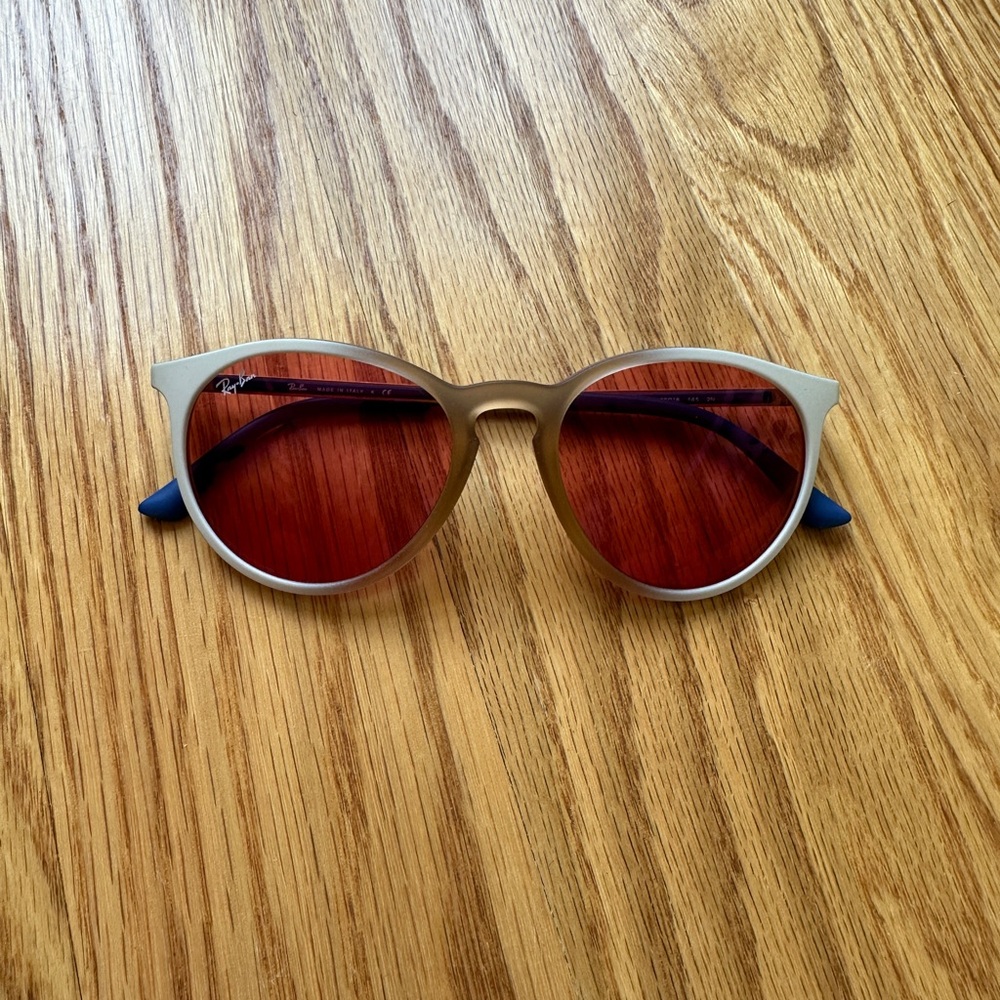 Ray Ban Erika Sunglasses